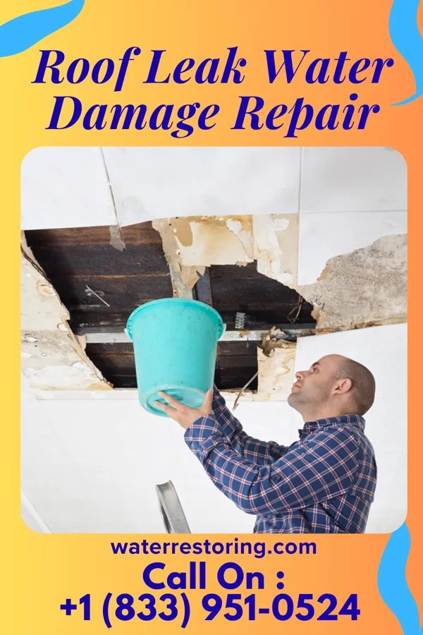 Roof Leak Water Damage Repair in Koshkonong, MO
