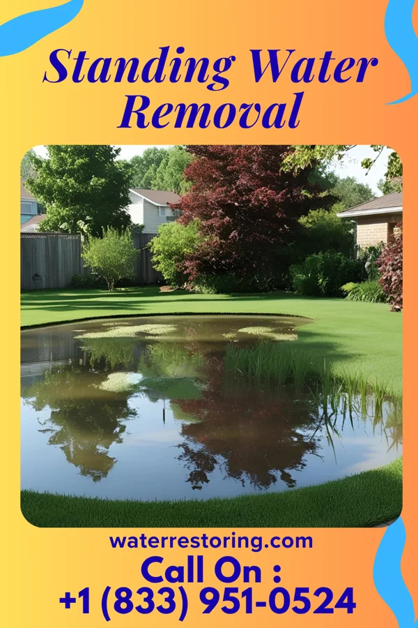 Standing Water Removal in Koshkonong, MO